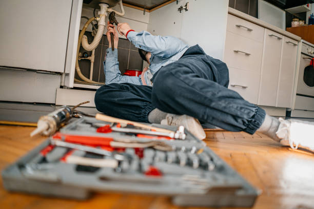 Best Water Softener Installation  in Johnston City, IL