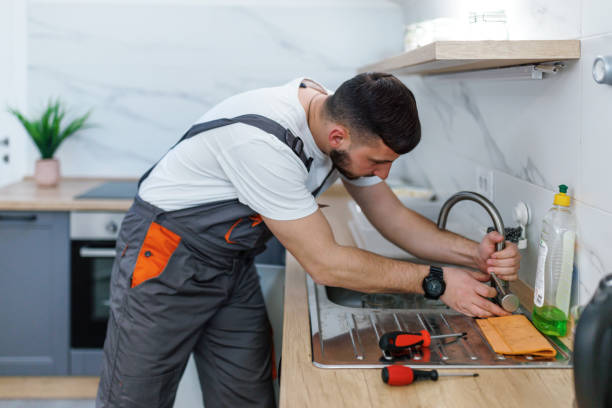 Best 24-Hour Plumber Near Me  in Johnston City, IL