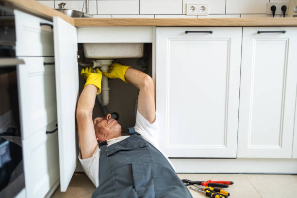 Best Affordable Plumbing Services  in Johnston City, IL