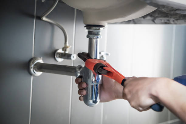 Best Best Plumbers Near Me  in Johnston City, IL