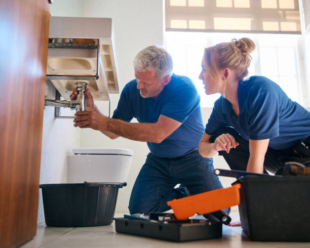 Best Pipe Repair Near Me  in Johnston City, IL